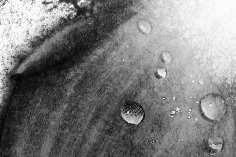 ingrandimento foglia luminosa